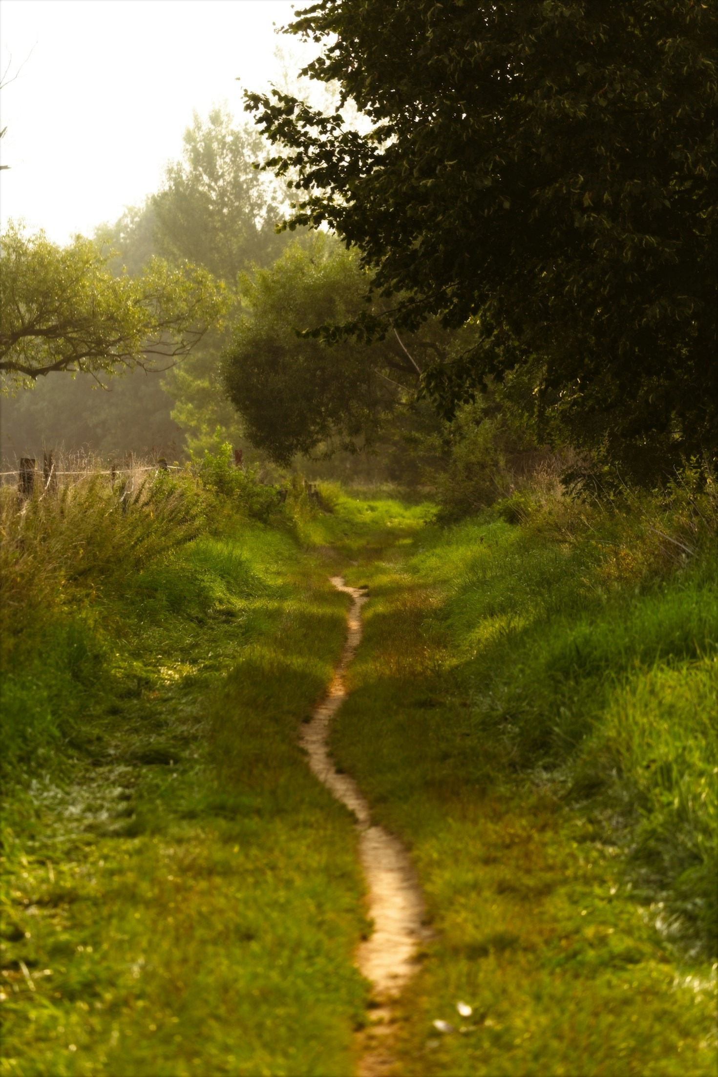 Finding Fulfillment After Midlife: Strategies That Work